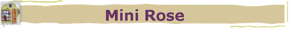 Mini Rose