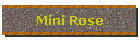 Mini Rose