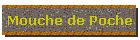 Mouche de Poche