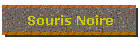 Souris Noire
