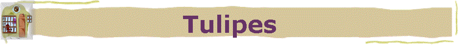 Tulipes