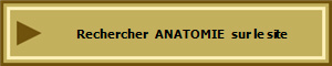Rechercher   ANATOMIE   sur le site